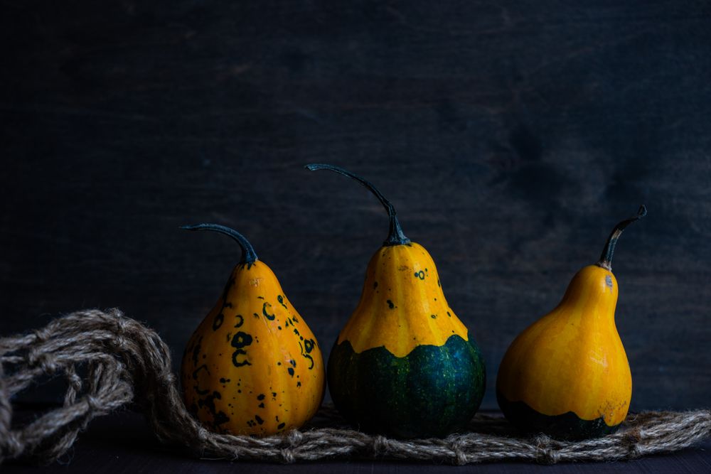Three orange squash in dark room with space for text