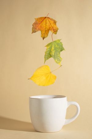 Three autumn yellow leaves floating above a cup