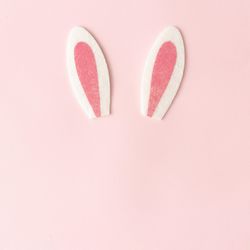 Bunny rabbit ears on pastel pink background