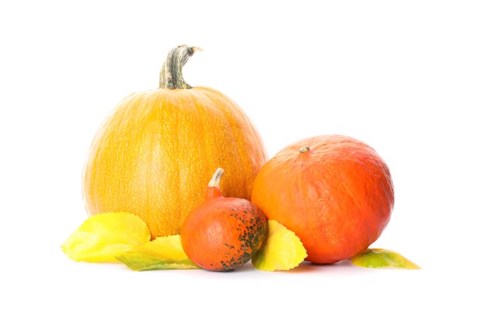 Group of fresh pumpkins and leaves isolated on blank background