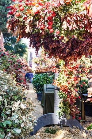 Autumnal composition with ripe fruits and vegetables