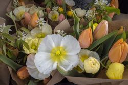 Beautiful orange and yellow flowers for sale in shop