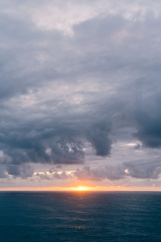 Grassy shore near stormy sea in evening