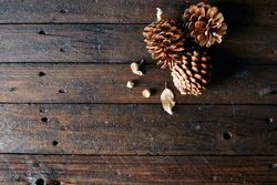 Set of pine cones and holm oak leaves on a wooden table seen from a top view.