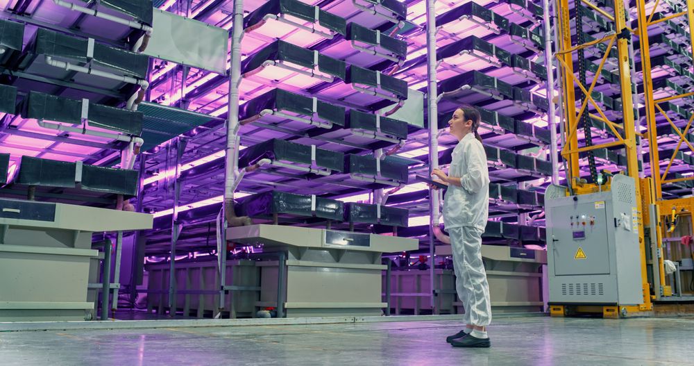 Young Female Farmer Standing in a Vertical Farm Facility with LED Lights. Hydroponics Technician Using a Tablet, Studying and Cultivating Plants, Planning Delivery of Greens To Supermarkets.