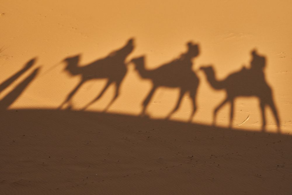 Shadow on sand of camels and people