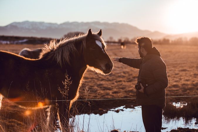 Man shooting on camera wild horse pasturing on field near water