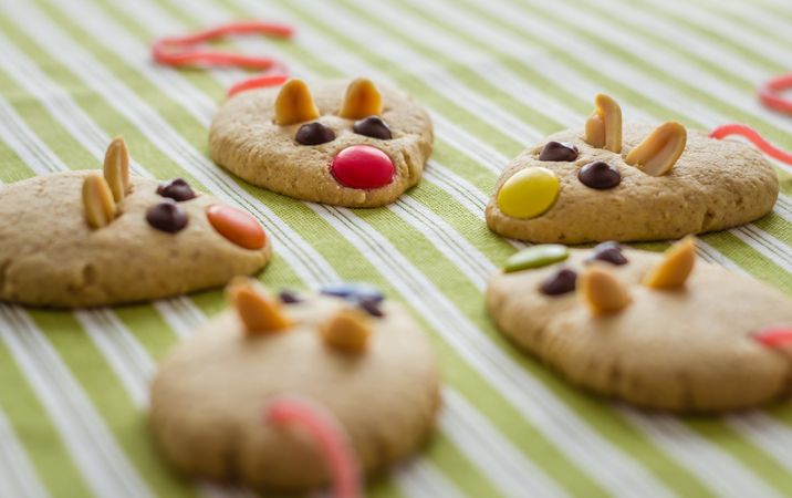 Cookies with mouse shaped and red licorice tail