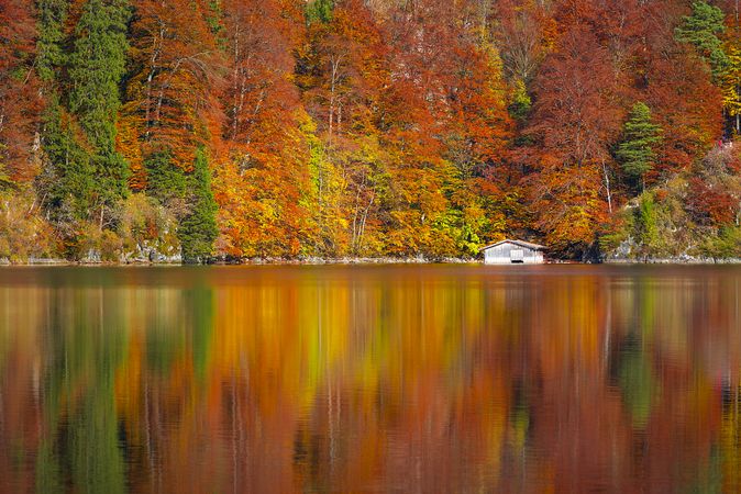 Autumn forest reflected in the Alpsee lake