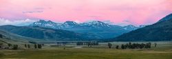 Wide format shot of sunset over mountains with buffalo in the valley below