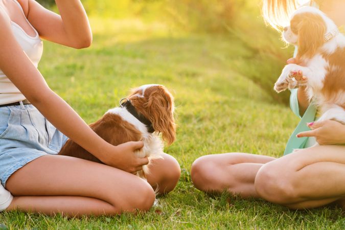 Female Owner Walk the Dog
