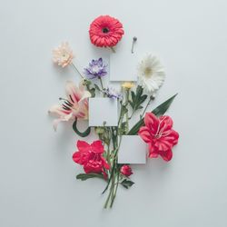Creative layout made of various flowers with light  paper cards