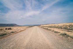 Empty road in desert with dry vegetation
