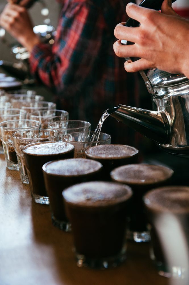 Glasses with coffee lined up for coffee tasting