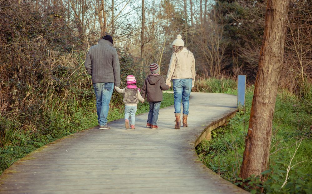 Back of family of four walking in forest