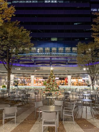 Exterior view of a restaurant decorated with Christmas tree in Tokyo Japan at night