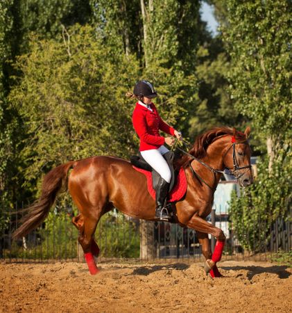 Pedigree horse with equestrian in red uniform