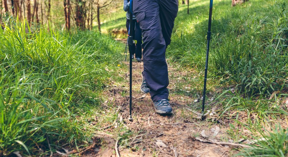 Couple of hikers doing trekking