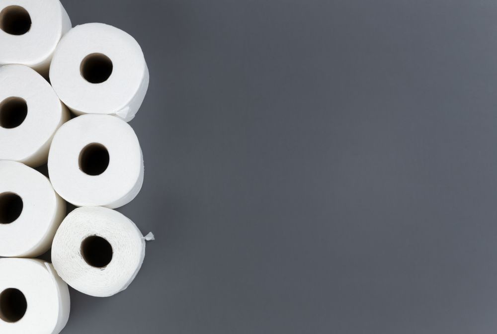 Toilet paper rolls on grey background