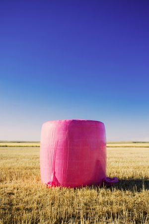 Bales wrapped with pink plastic