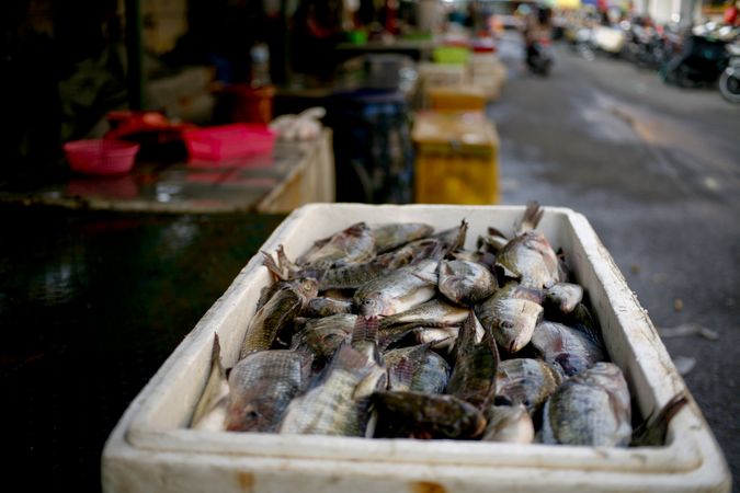 Box of fish, close up with street market in background