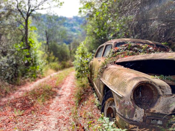 Derelict automobile abandoned on offroad path