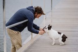 Man petting dog on pier