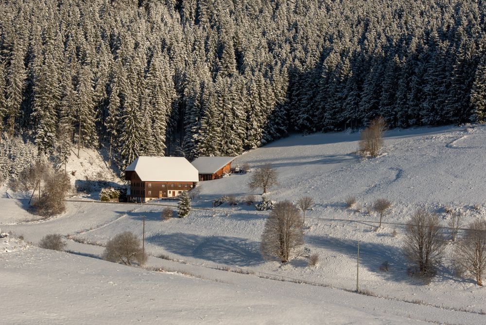Cabin in the snow-covered mountains, in Germany