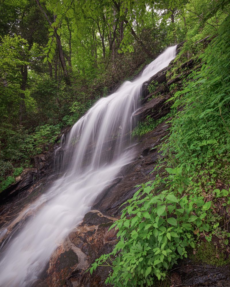 Waterfall between green plants