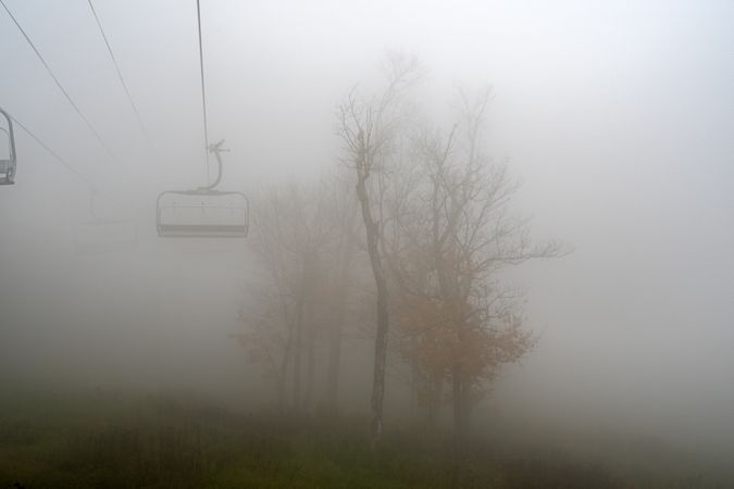 Foggy forest with cable cars