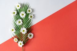 Palm leaf and flowers on red background