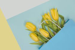Fresh yellow flowers with green leaves
