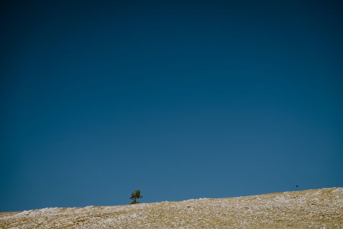 Landscape with hill and moon in blue sky