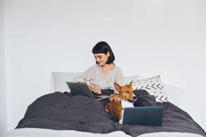 Woman and dog in bed both with laptops
