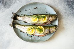 Top view of two raw trout fish ready for cooking with lemon and herbs