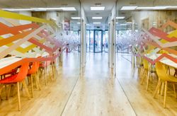 Interior of light corridor among glass walls in modern office with colorful furniture
