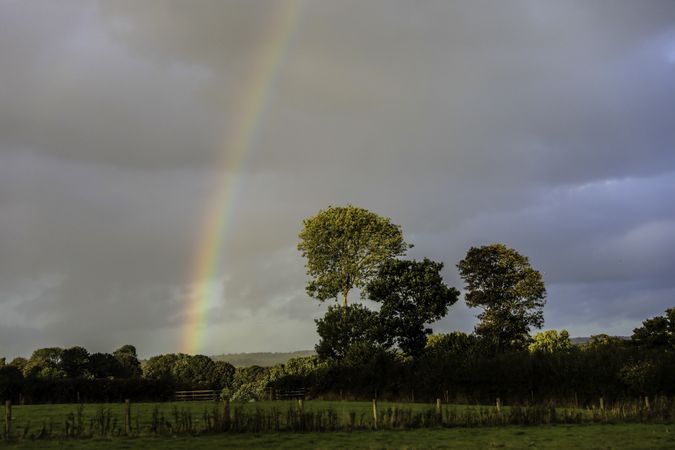 Rainbow and trees in British countryside