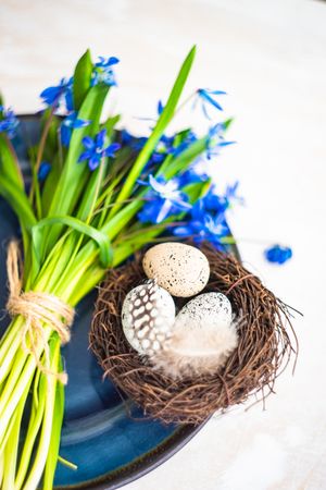 Easter table setting with mini nest, eggs and scilla flowers