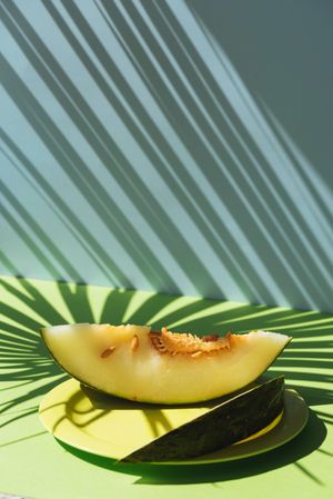 Melon toad skin cut into slices Colorful summer theme