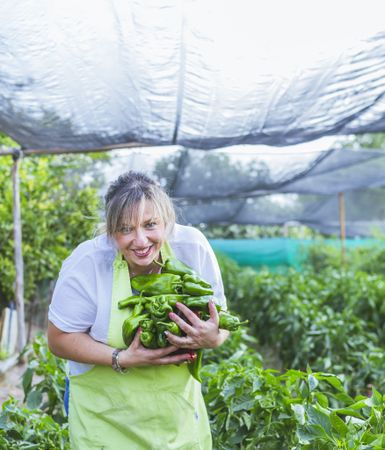 Gardener in apron showing green peppers at camera