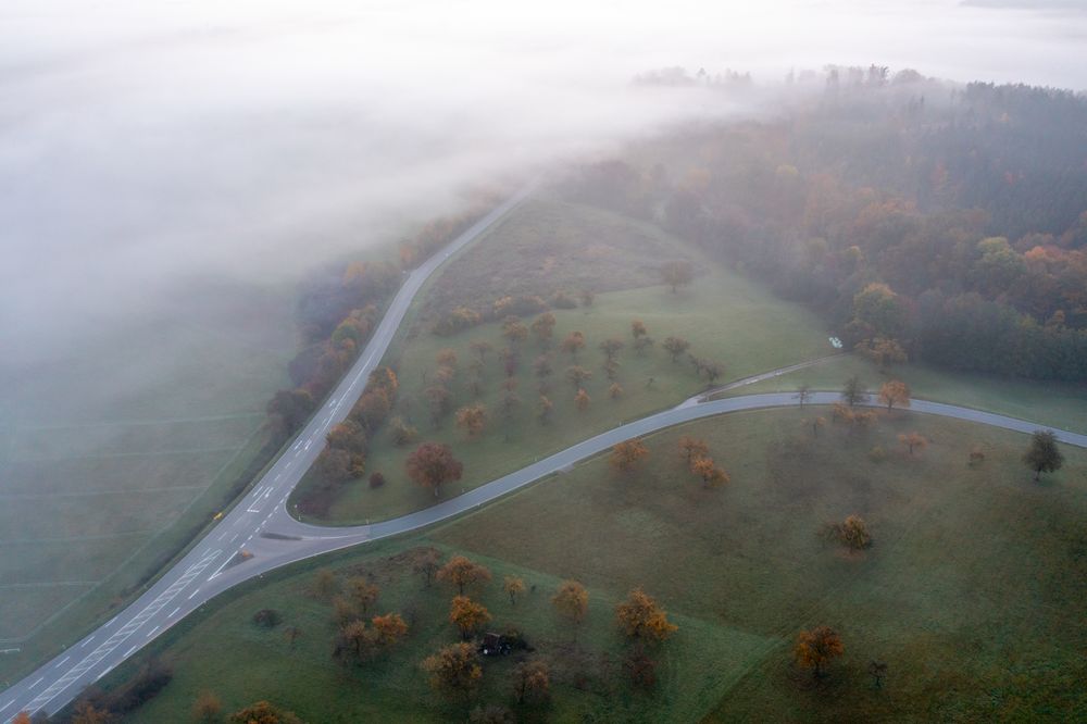 Aerial image with road intersection in an autumn scenery, directly above view on a cold morning in October