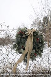 Christmas advent wreath, garland of fir, pine tree branches and red berries hung on fence outside 56YXL0