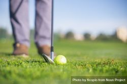 Cropped image of golf club and ball near person standing on green grass field 0LXVE0