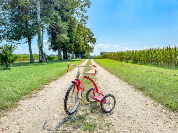 Red tricycle in the middle of farm road