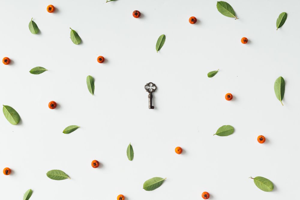 Key with coffee beans with coffee fruit and leaf pattern on light background