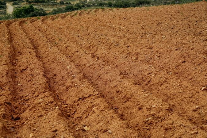 Soil of cultivated field
