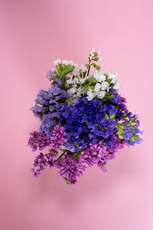 Multicolor sea lavender flowers bouquet