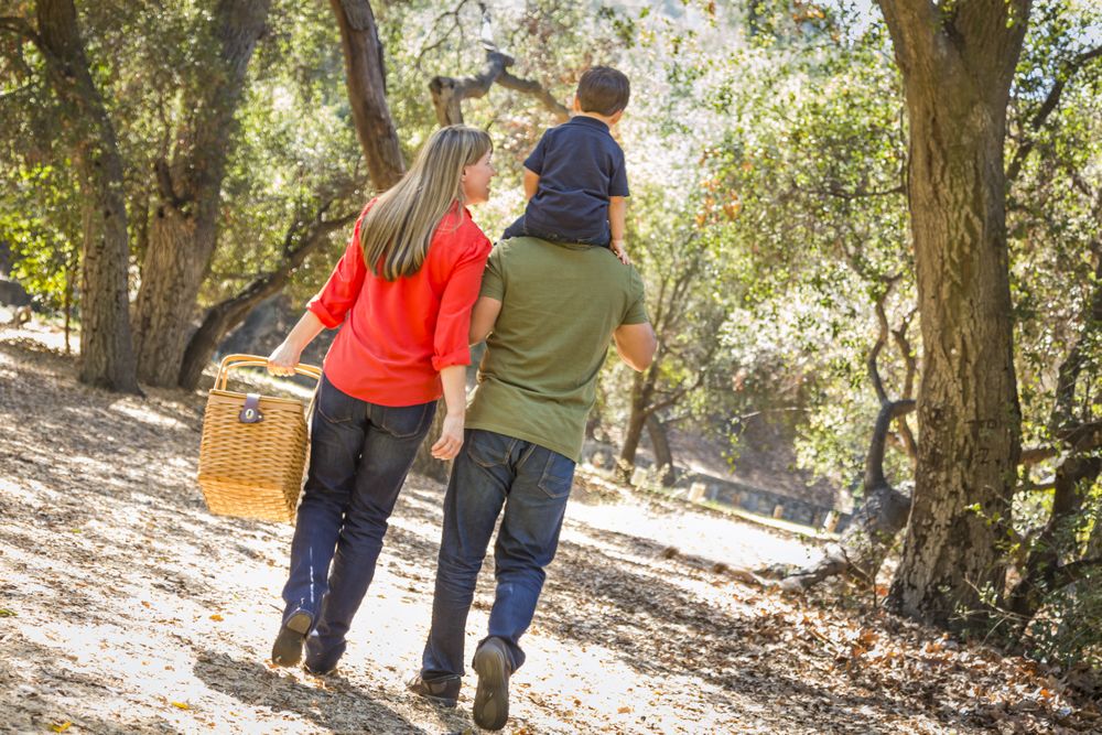 Family Enjoy a Walk in the Park