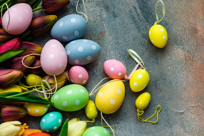 Top view of dotted pastel eggs with tulips