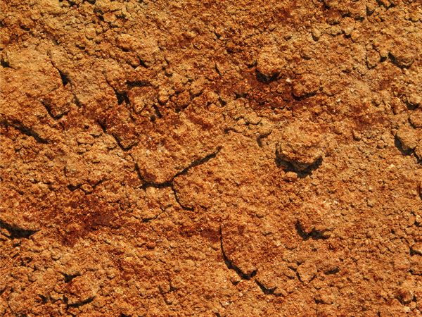 outdoor ground texture